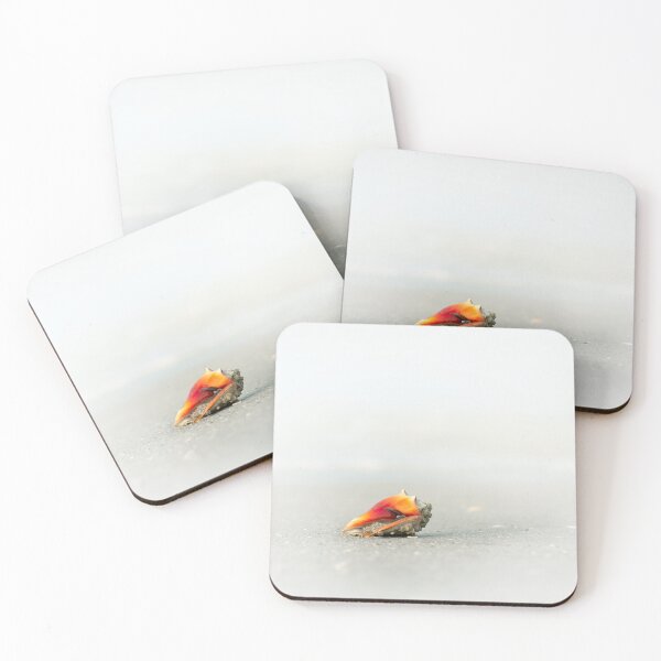 Item preview, Shell designed and sold by Gouzelka.