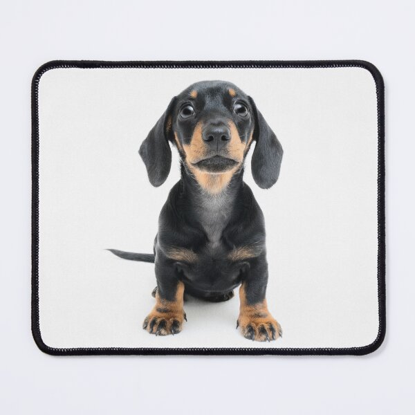 Item preview, Happy Dachshund designed and sold by ernest123.