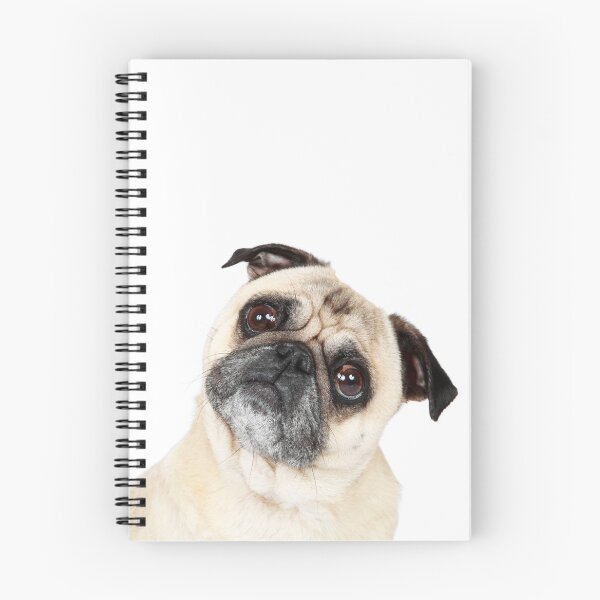 Item preview, Confused Pug designed and sold by mlorenz.