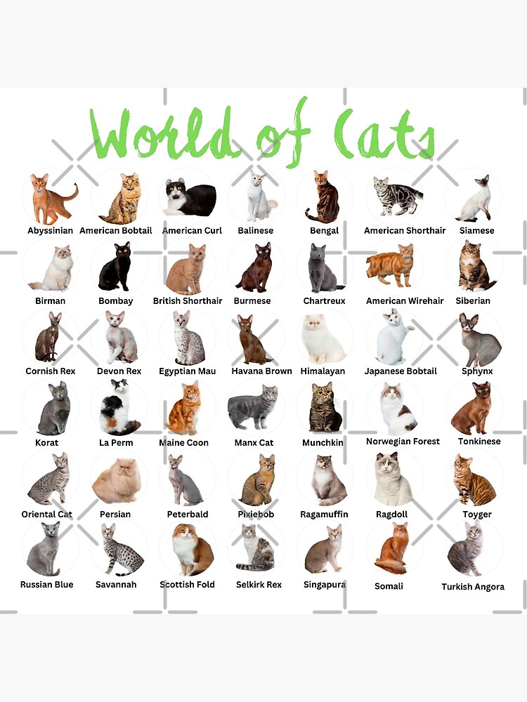 World Cat Breeds