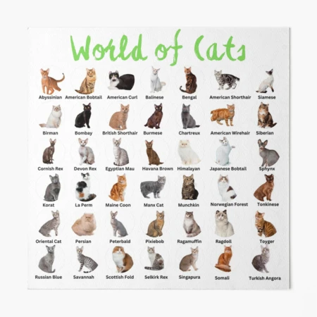 World Cat Breeds
