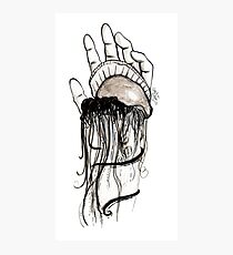 Man-O-War Photographic Print