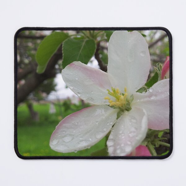 Item preview, rain on pretty pink flowers designed and sold by Sammi-Design.