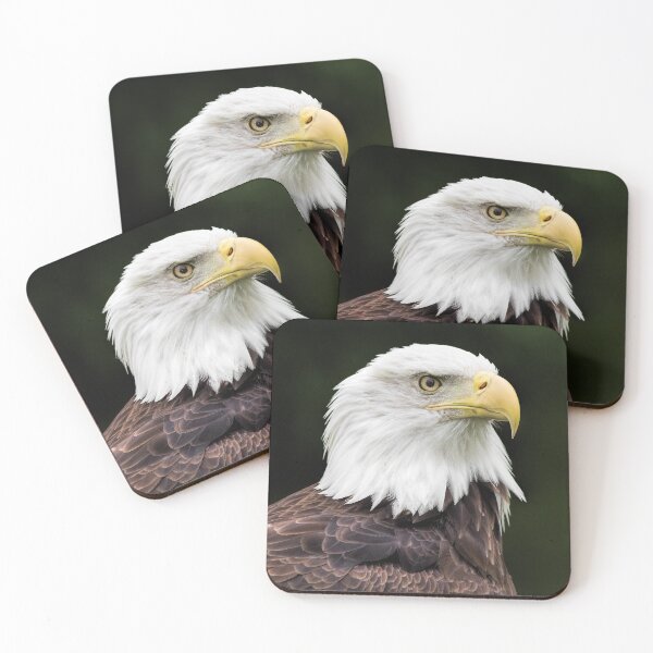 Artikelvorschau, With Dignity Bald Eagle entworfen und verkauft von Dale Kincaid.