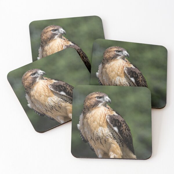 Item preview, Red Tailed Hawk designed and sold by Dale Kincaid.