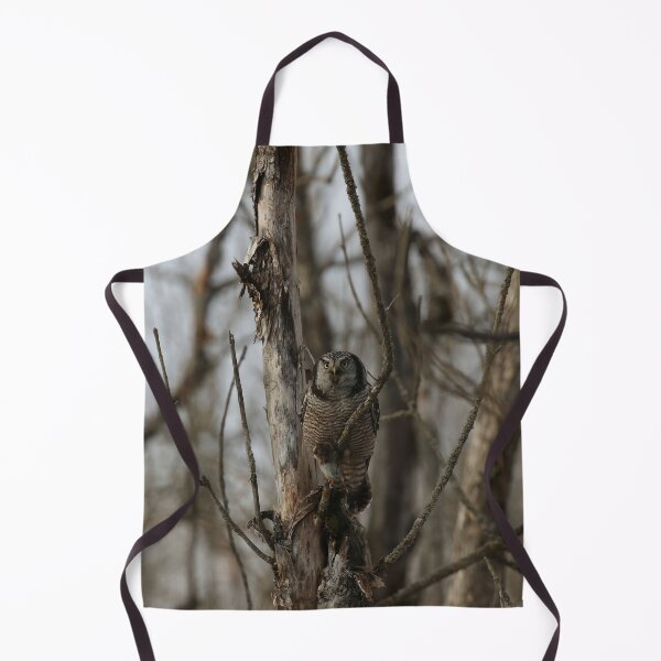 Item preview, Hawk Owl with prey designed and sold by locustgirl.