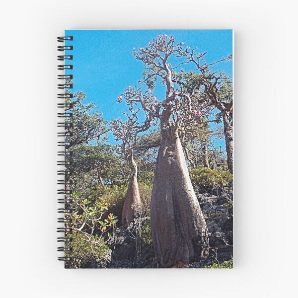 Item preview, Desert Rose Tree Grove, Socotra Island designed and sold by worldways.