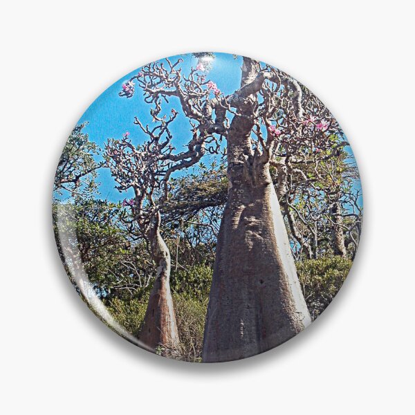 Item preview, Desert Rose Tree Grove, Socotra Island designed and sold by worldways.