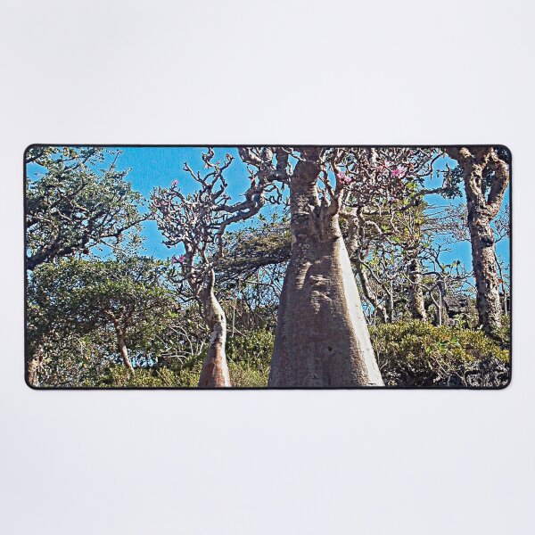 Item preview, Desert Rose Tree Grove, Socotra Island designed and sold by worldways.