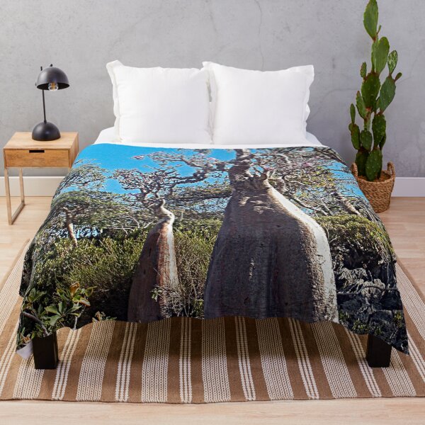 Item preview, Desert Rose Tree Grove, Socotra Island designed and sold by worldways.