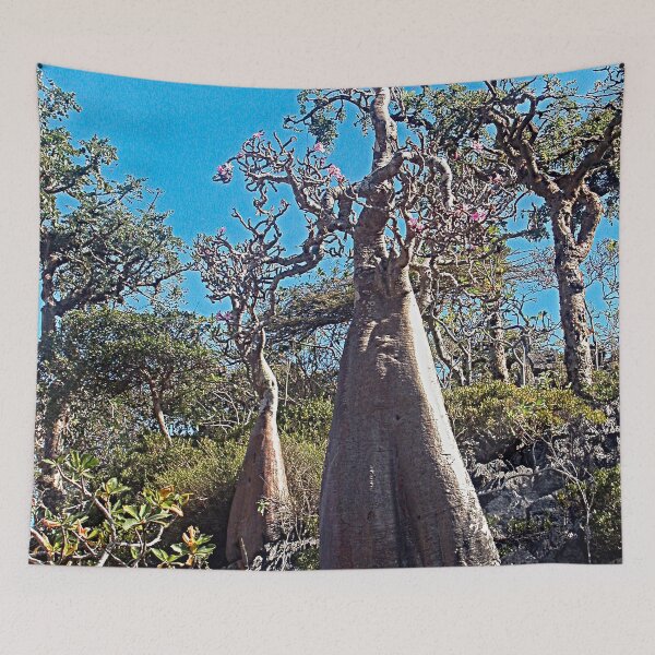 Item preview, Desert Rose Tree Grove, Socotra Island designed and sold by worldways.
