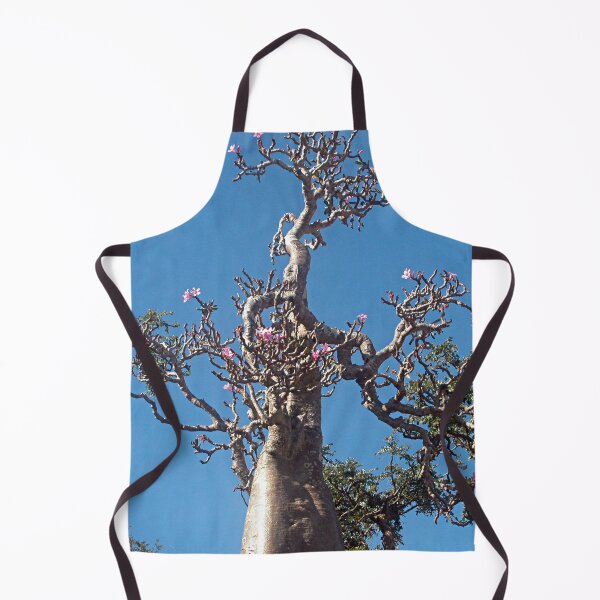 Item preview, Desert Rose Tree Closeup, Socotra Island designed and sold by worldways.