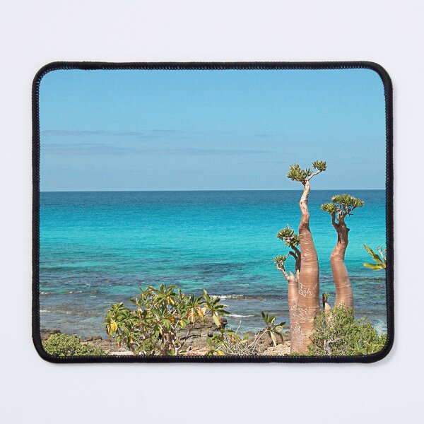 Item preview, Unique Desert Rose Tree by the Sea, Socotra Island designed and sold by worldways.