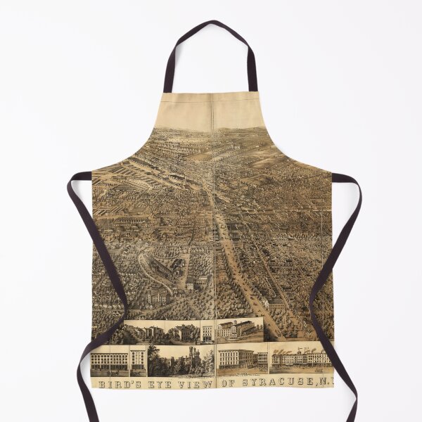 Item preview, Bird's eye view of Syracuse, New York (1868) designed and sold by allhistory.