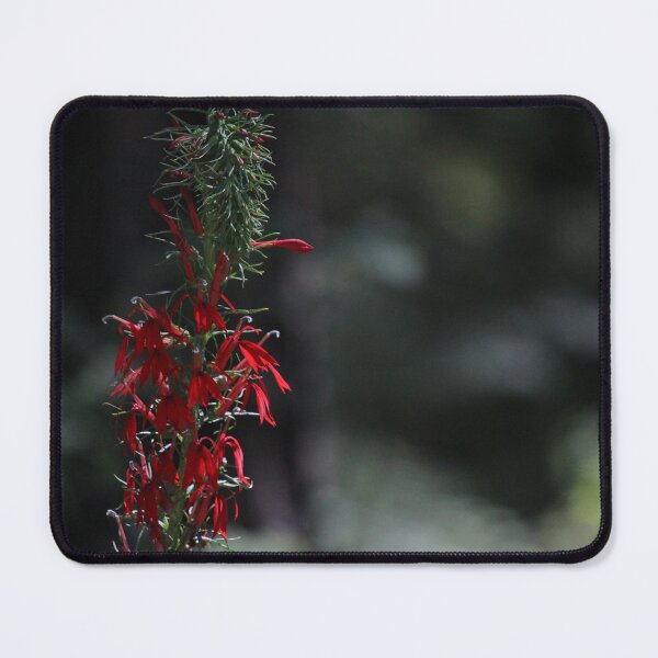 Item preview, Cardinal flower designed and sold by schmidy-botany.