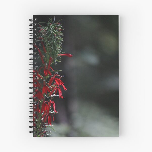 Item preview, Cardinal flower designed and sold by schmidy-botany.