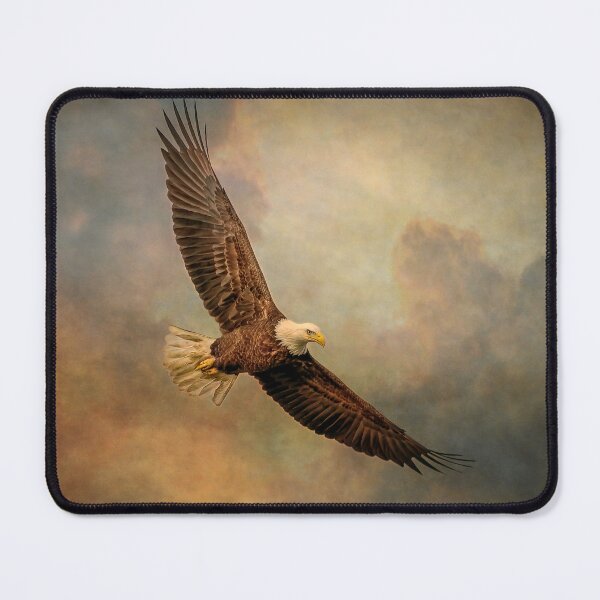 Item preview, Bald Eagle In Boisterous Skies designed and sold by Dale Kincaid.