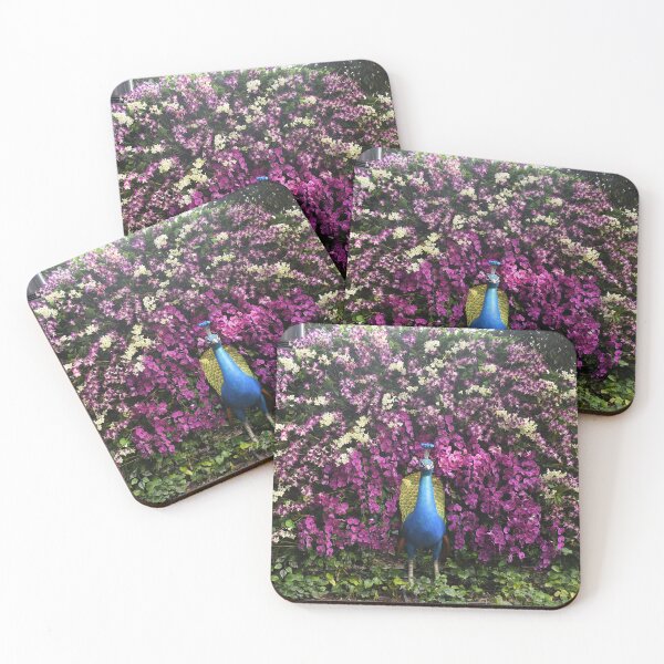 Item preview, Peacock floral design at Canopy park Singapore Changi airport designed and sold by mark-taylor.