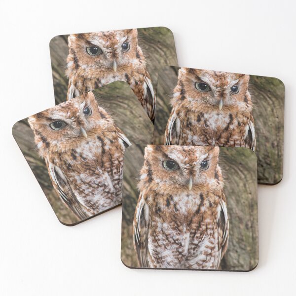 Item preview, Screech Owl On Alert designed and sold by Dale Kincaid.