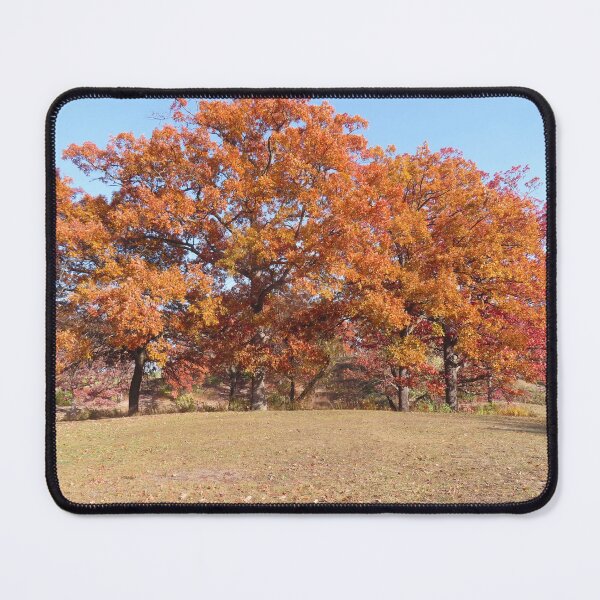 Item preview, Rust-colored Autumn Trees designed and sold by Kathleen Brant.