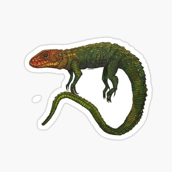 Item preview, Caiman Lizard designed and sold by maxziee.