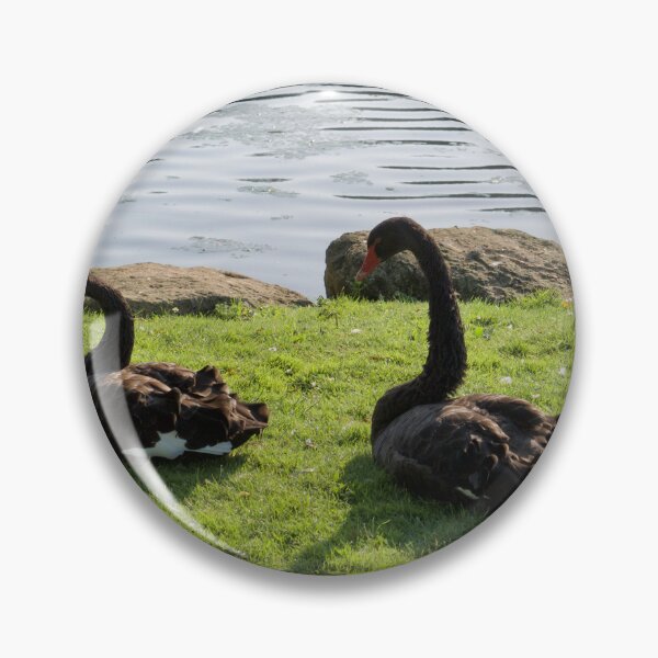 Item preview, Black Swans designed and sold by thelemmingface.