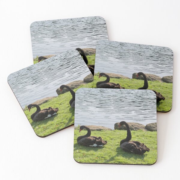 Item preview, Black Swans designed and sold by thelemmingface.