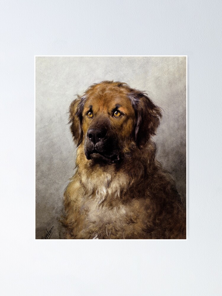"Beautiful Dog Art" Poster for Sale by mrcruzarts Redbubble