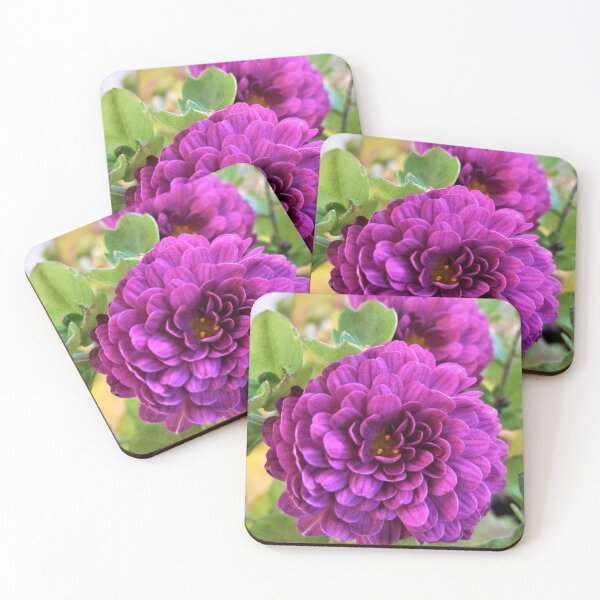 Item preview, Purplish Chrysanthemums designed and sold by Scott and Mary Schneider art_photography.
