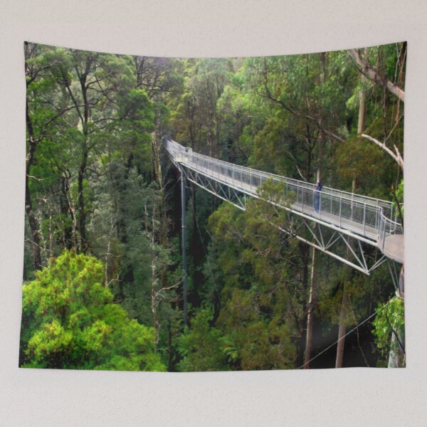 Item preview, Otway Fly Tree Top Walk  designed and sold by cjcphotography.
