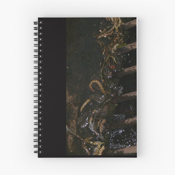 Item preview, metal drain designed and sold by LauraBalducci.