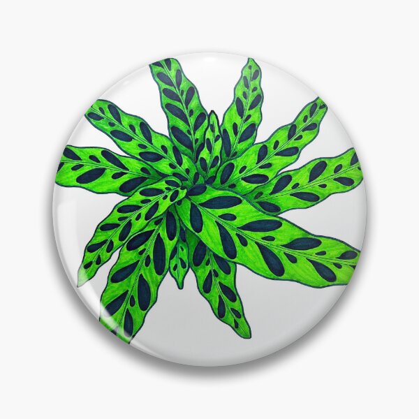 Item preview, serpiente de cascabel calathea designed and sold by Joe Richichi.