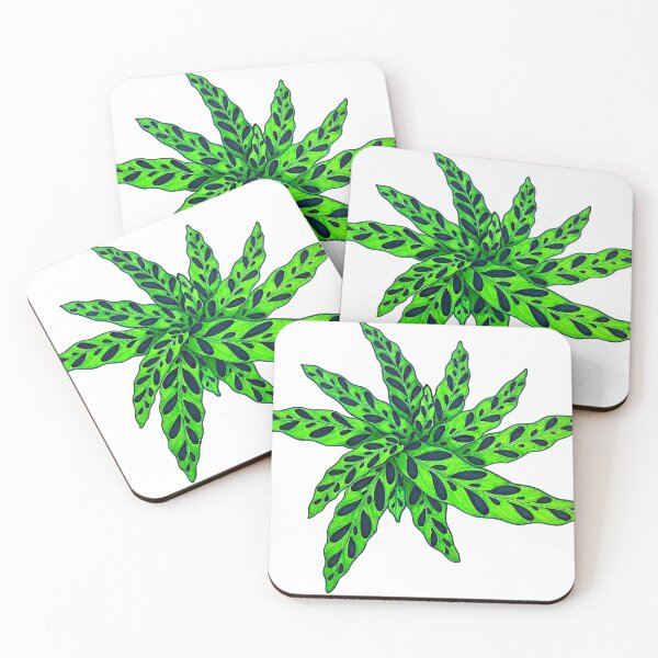 Item preview, Rattlesnake Calathea designed and sold by Joe Richichi.