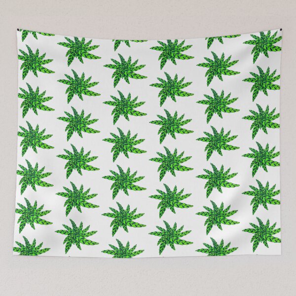 Item preview, Rattlesnake Calathea designed and sold by Joe Richichi.