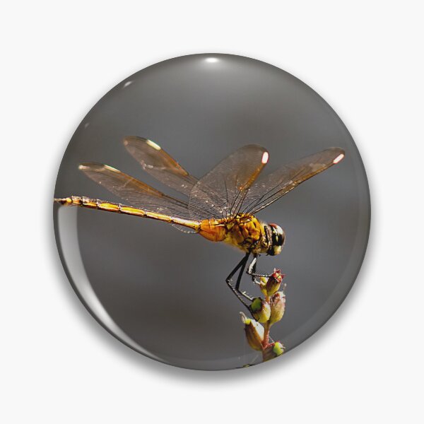 Artikelvorschau, Dragonfly entworfen und verkauft von Gouzelka.