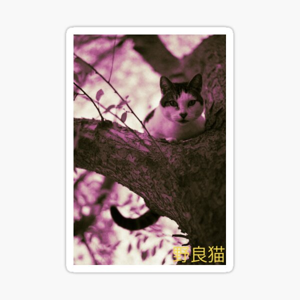 NORANEKO - Wild Cat Sticker