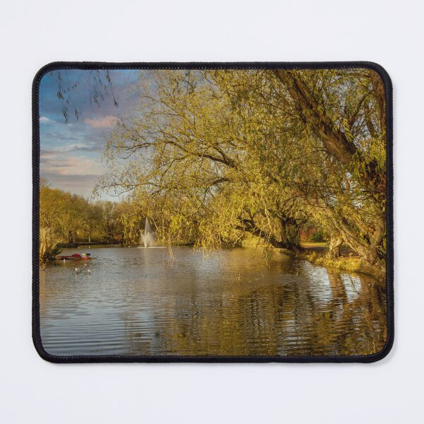 Item preview, Locke Park Redcar  designed and sold by grumpykeith.