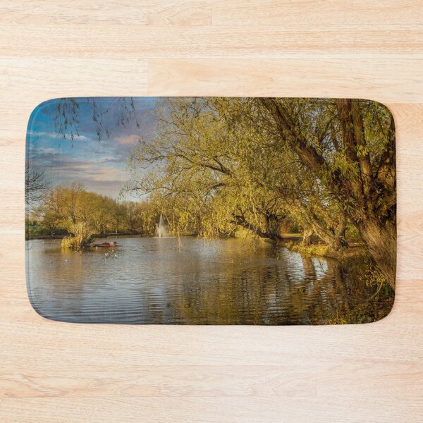 Item preview, Locke Park Redcar  designed and sold by grumpykeith.