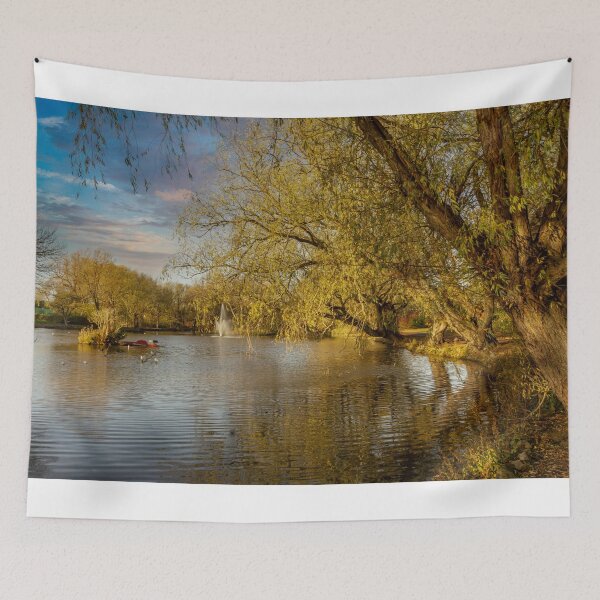 Item preview, Locke Park Redcar  designed and sold by grumpykeith.