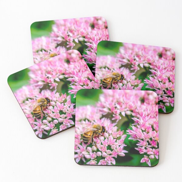 Item preview, Bee On Stonecrop Flower 2 designed and sold by Robert Alsop.