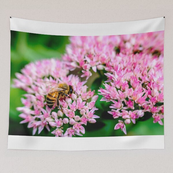 Item preview, Bee On Stonecrop Flower 2 designed and sold by Robert Alsop.