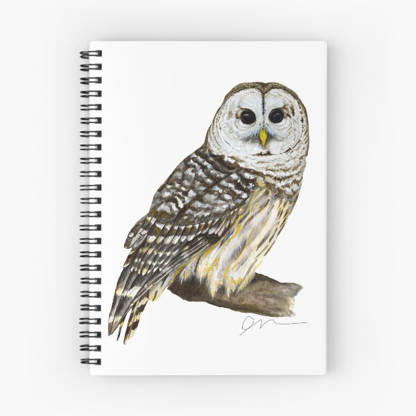 Item preview, The Barred Owl designed and sold by JaraM.