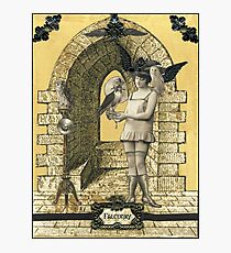 Falconry Photographic Print