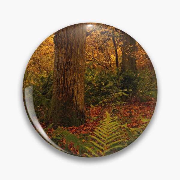 Item preview, Autumn Woodland Colours designed and sold by Martyn R Arnold Fine Art Nature & Landscape Photography.