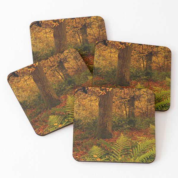 Item preview, Autumn Woodland Colours designed and sold by Martyn R Arnold Fine Art Nature & Landscape Photography.