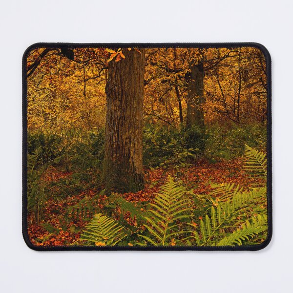 Item preview, Autumn Woodland Colours designed and sold by Martyn R Arnold Fine Art Nature & Landscape Photography.