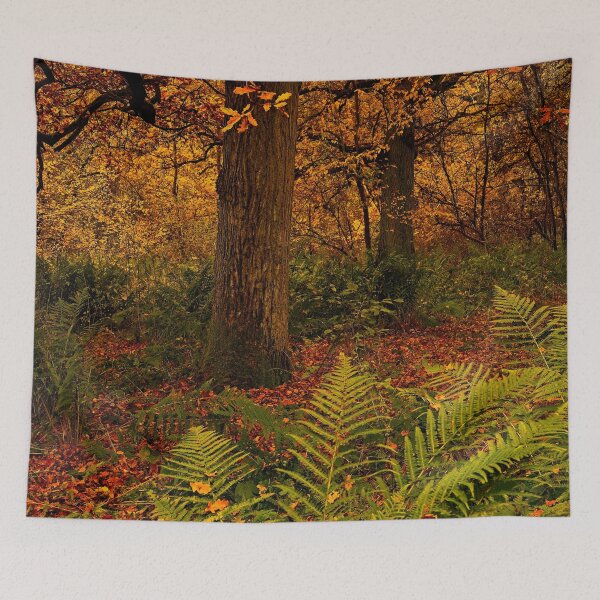 Item preview, Autumn Woodland Colours designed and sold by Martyn R Arnold Fine Art Nature & Landscape Photography.