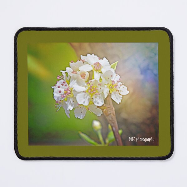 Item preview, Apple blossom in bloom designed and sold by Nicholes  Dream Visions.