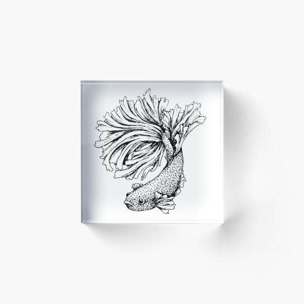 Betta, Outline Acrylic Block