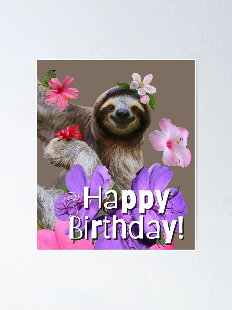 Happy Belated Birthday Sloth Friend Present Clipart Instant Digital Download